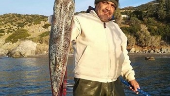 Λαγοκέφαλος… βαρέων βαρών στα δίχτυα ψαρά στο Ηράκλειο