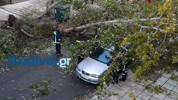 Ισχυροί άνεμοι στη Θεσσαλονίκη: Έπεσαν δέντρα – Ζημιές σε σταθμευμένα αυτοκίνητα