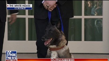 O Ντόναλντ Τραμπ τίμησε τον σκύλο-ήρωα που βοήθησε στην εξόντωση του αλ Μπαγκντάντι – ΦΩΤΟ – BINTEO