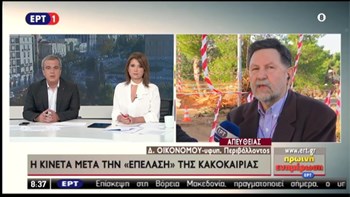 Στην Κινέτα ο υφυπουργός Περιβάλλοντος: Έχει αρχίσει η καταγραφή των ζημιών – Θα υπάρξουν αποζημιώσεις – ΒΙΝΤΕΟ