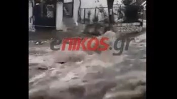 Σε χείμαρρο έχει μετατραπεί δρόμος στη Θάσο – ΒΙΝΤΕΟ αναγνώστη