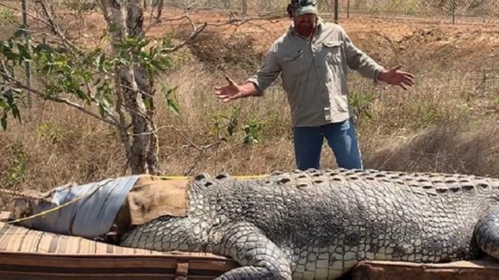 Έπιασε κροκόδειλο – τέρας 5,1 μέτρων που τρεφόταν με αγελάδες – ΦΩΤΟ – ΒΙΝΤΕΟ