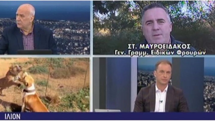 Ο Γ.Γ. Ειδικών φρουρών για την επίθεση πιτ μπουλ σε αστυνομικούς στο Ίλιον: Καλούσαν ενισχύσεις αλλά δεν λειτουργούσαν οι ασύρματοι – ΒΙΝΤΕΟ