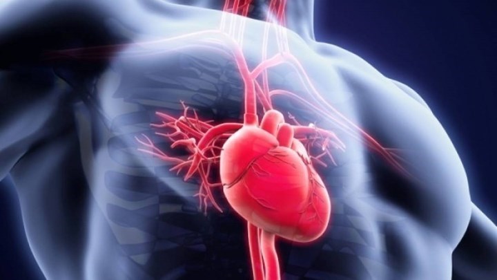 Ιστορικό ιατρικό επίτευγμα: Έκαναν μεταμόσχευση καρδιάς από νεκρό δότη – ΒΙΝΤΕΟ