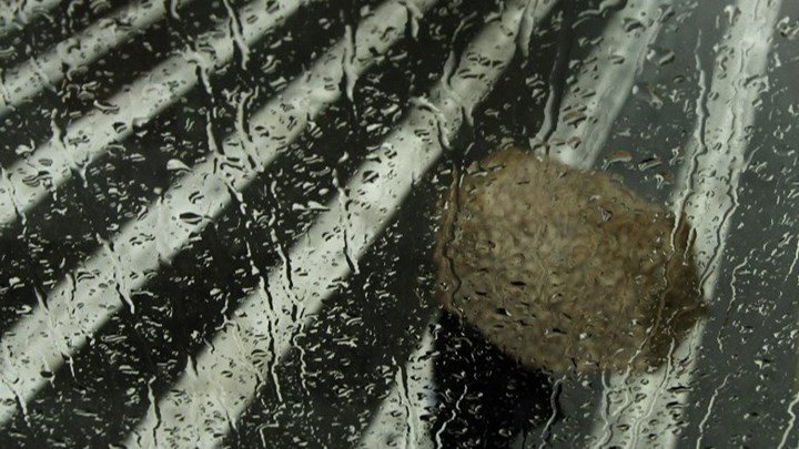 “Διδώ”: “Μούλιασε” η Αττική – Πού σημειώθηκαν τα μεγαλύτερα ύψη βροχής – ΦΩΤΟ