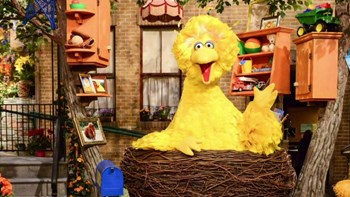 “Έφυγε” ο Big Bird του Sesame Street – ΒΙΝΤΕΟ