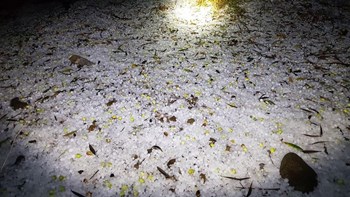 «Διδώ»: Ισχυρή χαλαζόπτωση στην Κρήτη – Ζημιές στις καλλιέργειες  -ΦΩΤΟ