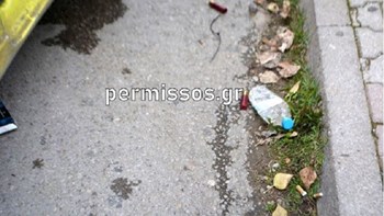 Θεσπιές Βοιωτίας: Τρεις συλλήψεις για το διπλό φονικό