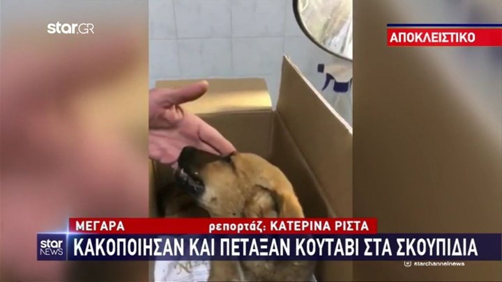 Μέγαρα: Κακοποίησαν κουτάβι και το πέταξαν στα σκουπίδια – ΒΙΝΤΕΟ