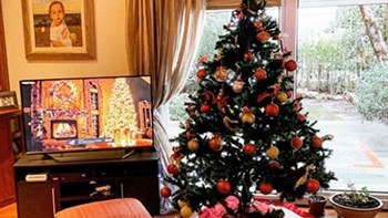 Κουίζ: Σε ποιον γνωστό ηθοποιό ανήκει αυτό το χριστουγεννιάτικο δέντρο; – ΦΩΤΟ