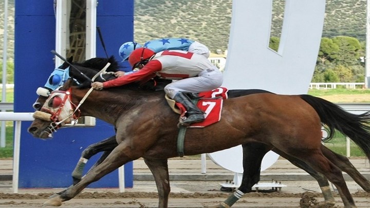 Markopoulo Park: Μεγάλα κέρδη μοίρασε το ΣΚΟΡ 6