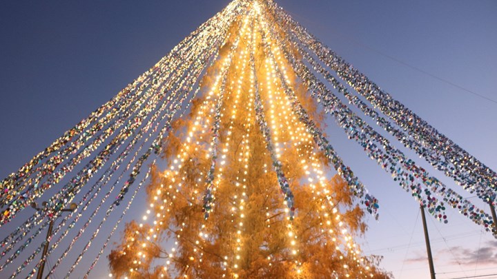 Χριστουγεννιάτικο… Ρεκόρ Γκίνες: Δέντρο “ντύθηκε” με 51.626 κάρτες – ΦΩΤΟ