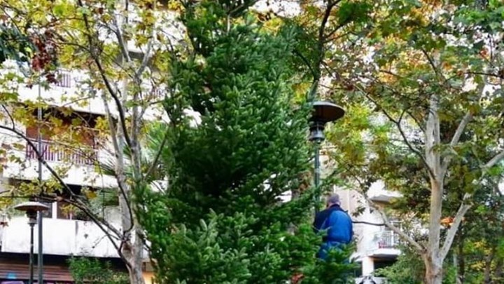 Εξάρχεια: Άγνωστος επιχείρησε να βάλει φωτιά στο χριστουγεννιάτικο δέντρο – ΦΩΤΟ