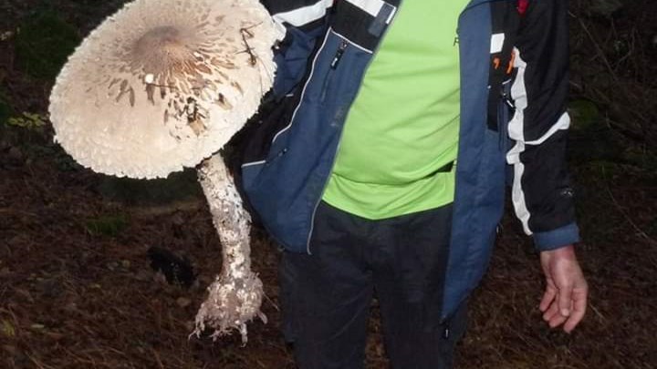 Ξάνθη: Δεν έχετε ξαναδεί τόσο μεγάλο μανιτάρι – ΦΩΤΟ