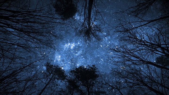 Χειμερινό ηλιοστάσιο: Έρχεται η μεγαλύτερη νύχτα του έτους