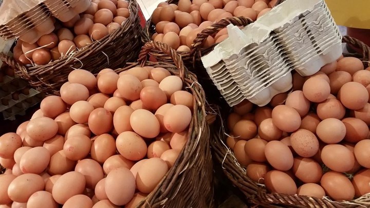 Μπορεί το αυγό να σταθεί όρθιο σε μια έκλειψη ηλίου; – Το πείραμα που έγινε viral – ΒΙΝΤΕΟ