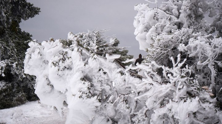 Ζηνοβία: Στα “λευκά” η Αττική – Πού και πότε θα χιονίσει – ΦΩΤΟ