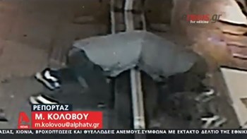 Κορυδαλλός: Καρέ καρέ η δράση του διαρρήκτη με τις πέτρες – Πώς “τρύπωσε” σε κρεοπωλείο – ΒΙΝΤΕΟ