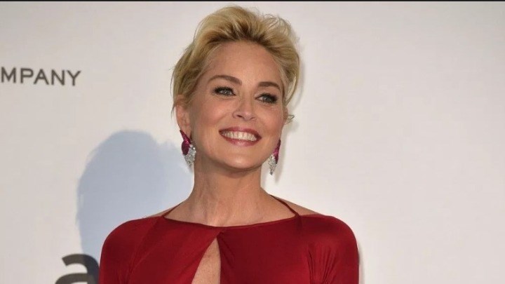 Σάρον Στόουν: “Έφαγε” πόρτα από εφαρμογή γνωριμιών – Δείτε γιατί