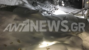 Ηφαιστίων: Θάφτηκαν στο χιόνι Βίλια και Θήβα – ΦΩΤΟ