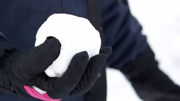 Σοκ – Παιδιά πέταξαν χιονόμπαλες στο αυτοκίνητό του και… τα πυροβόλησε