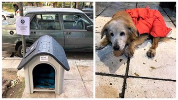 Κυψέλη: Συγκίνησε η νέα στέγη της Κανέλλας – ΦΩΤΟ