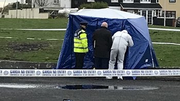 Μυστήριο στο Δουβλίνο: Παιδιά βρήκαν τη τσάντα με τα ανθρώπινα μέλη – ΦΩΤΟ από το σημείο των ερευνών