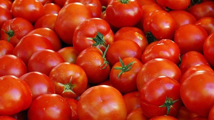 Κρήτη: Κλέφτης με αδυναμία… στις ντομάτες