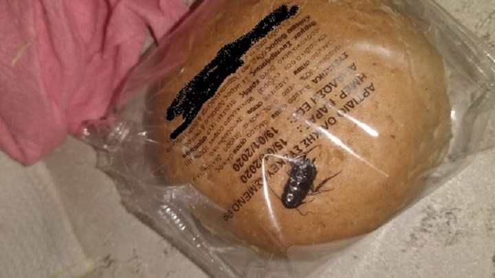 Σοκ στα Άνω Λιόσια: Γονέας καταγγέλλει ότι βρέθηκε κατσαρίδα σε σχολικό γεύμα