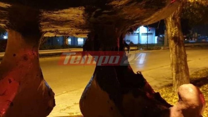 Πάτρα: Συνελήφθη ιερέας για τους εμπρησμούς σε καρναβαλικές κατασκευές