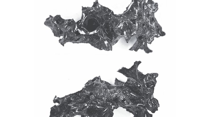 Βεζούβιος: Η θερμοκρασία από την έκρηξη μετέτρεψε σε γυαλί τον εγκέφαλο ενός άνδρα