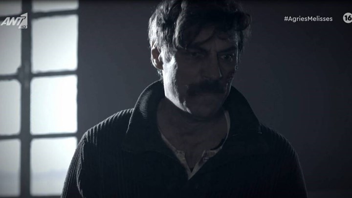 Άγριες Μέλισσες: Η στιγμή που καθήλωσε τους χρήστες του twitter – BINTEO