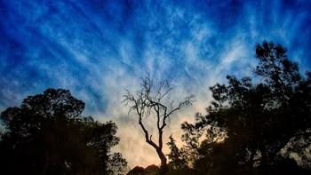 Καιρός: Ανοιξιάτικο σκηνικό σήμερα – Πού θα υπάρχει ομίχλη