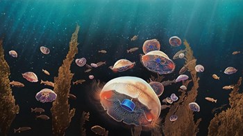 Δημιουργήθηκε η πρώτη βιονική μέδουσα – ΒΙΝΤΕΟ