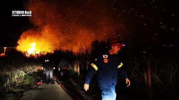 Μύλοι Αργολίδας: Τραυματίστηκε πυροσβέστης στην κατάσβεση της φωτιάς – ΒΙΝΤΕΟ