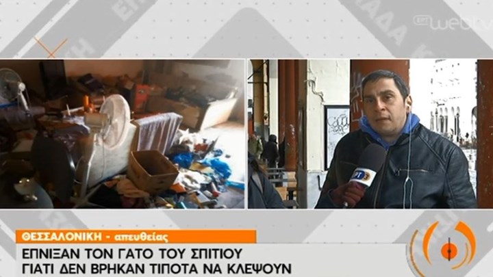 Κτηνωδία: Διαρρήκτες σκότωσαν τον γάτο σπιτιού – ΒΙΝΤΕΟ