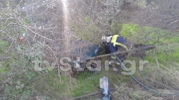 Χαλκίδα: Έπεσε με το αυτοκίνητό της σε γκρεμό έπειτα από τροχαίο και βρήκε τραγικό θάνατο – ΦΩΤΟ