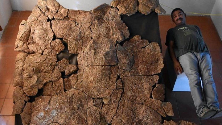 Ανακάλυψαν απολιθώματα χελώνας σε μέγεθος… αυτοκινήτου
