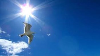 Καιρός: Ηλιοφάνεια και άνοδος της θερμοκρασίας – Πού θα βρέξει