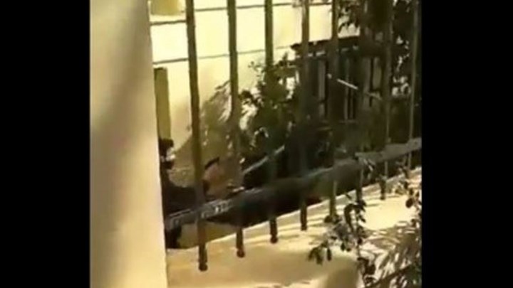 ΑΣΟΕΕ: Φοιτητές καταγγέλλουν πως αστυνομικός τράβηξε όπλο μέσα στο πανεπιστήμιο – ΒΙΝΤΕΟ
