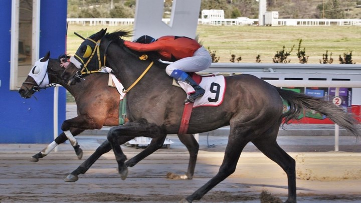 Εννέα κούρσες και τέσσερα ΣΚΟΡ στην πρώτη ιπποδρομιακή συγκέντρωση του Μαρτίου