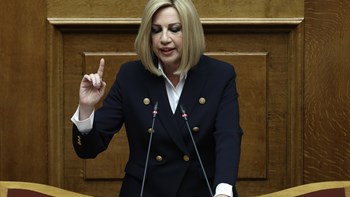 Γεννηματά: Ο Μητσοτάκης να ζητήσει άμεσα σύγκληση του Ευρωπαϊκού Συμβουλίου
