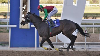 Εννέα αμφίρροπες κούρσες και κέρδη για πολλούς στις πρώτες ιπποδρομίες του Μαρτίου