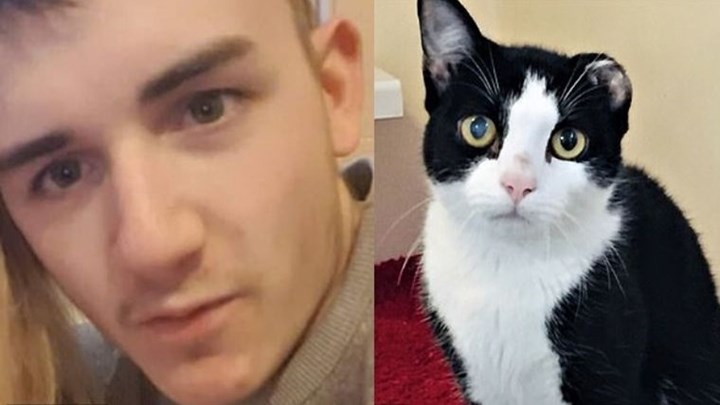 Άγρια κακοποίηση γάτου – 20χρονος τον δάγκωσε και του έκοψε το αυτί – ΦΩΤΟ