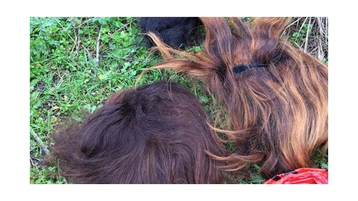 Έβρος: Με γυναικείες περούκες στα σύνορα οι μετανάστες – Οι Τούρκοι τους “μαρκάρουν” με ταμπελάκια – ΦΩΤΟ