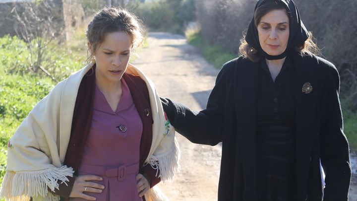 Άγριες Μέλισσες: Το παράτολμο σχέδιο της Μυρσίνης φέρνει τα πάνω-κάτω στο Διαφάνι – ΦΩΤΟ