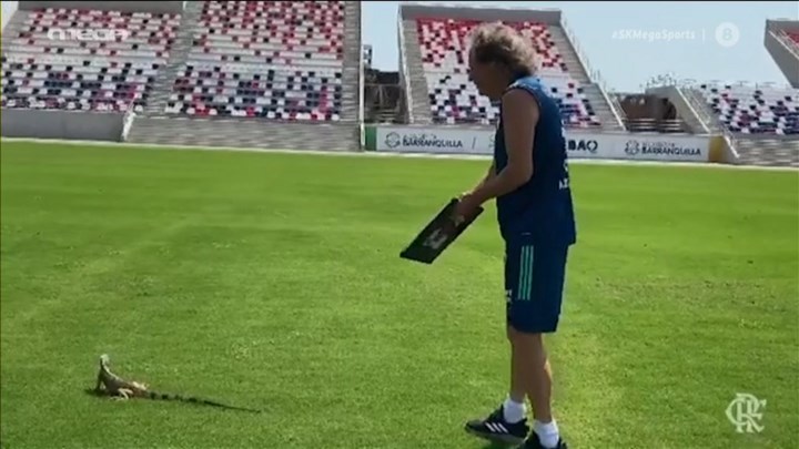 Σαύρα εισέβαλε στην προπόνηση της Φλαμένγκο – ΒΙΝΤΕΟ