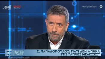 Σπύρος Παπαδόπουλος: Γιατί δεν είπα το “ναι” στις  «Άγριες Μέλισσες» – ΒΙΝΤΕΟ