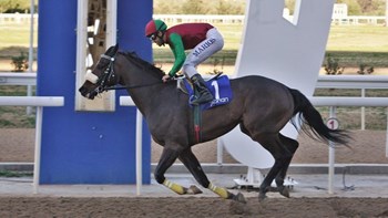 Ματαιώνονται οι ελληνικές ιπποδρομίες στις 15 και 22 Μαρτίου