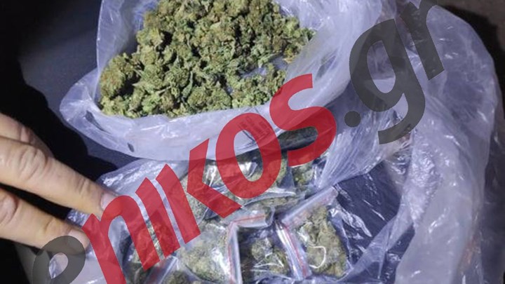 Διακινητής ναρκωτικών πόνταρε στον κορονοϊό, αλλά έπεσε πάνω στην ομάδα ΔΙΑΣ – ΦΩΤΟ